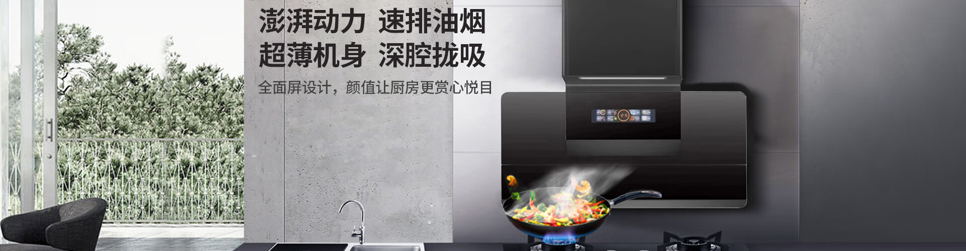 耐声,专业生产耐声电器,耐声吸油烟机,耐声厨卫电器