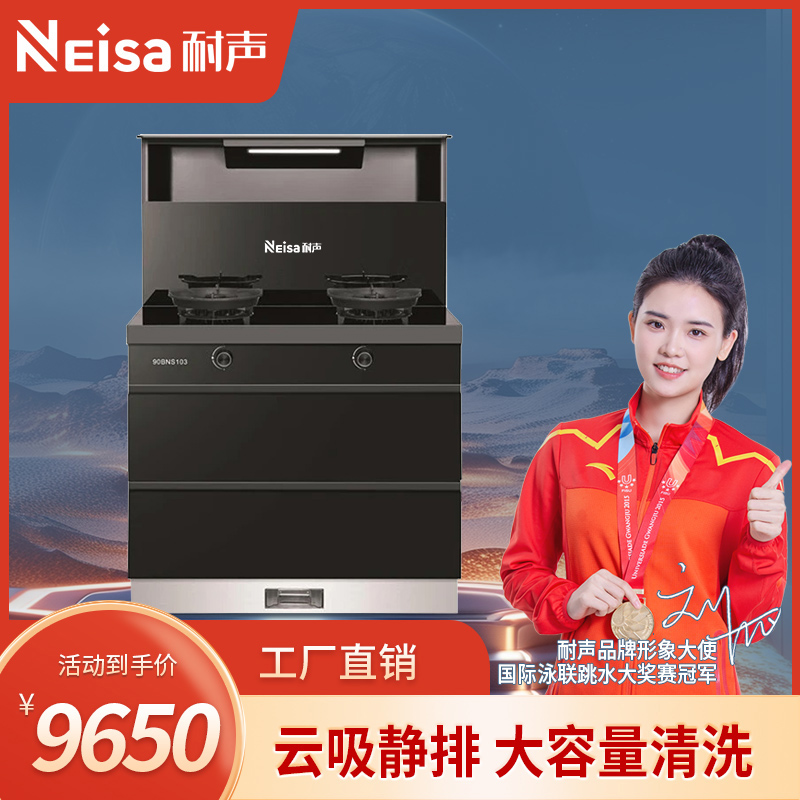 耐声,专业生产耐声电器,耐声吸油烟机,耐声厨卫电器