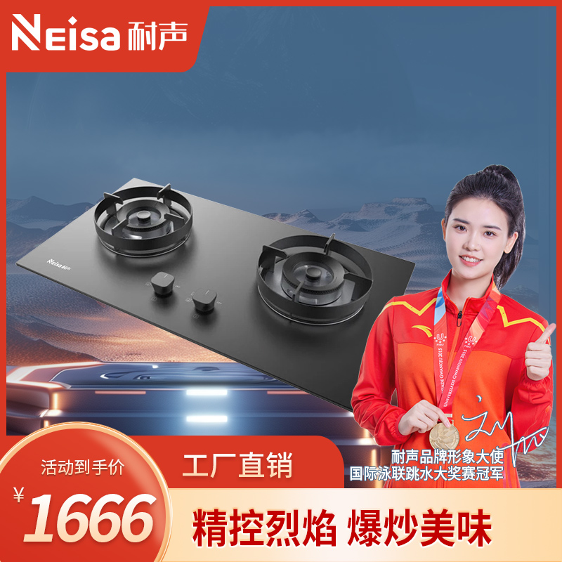 耐声,专业生产耐声电器,耐声吸油烟机,耐声厨卫电器
