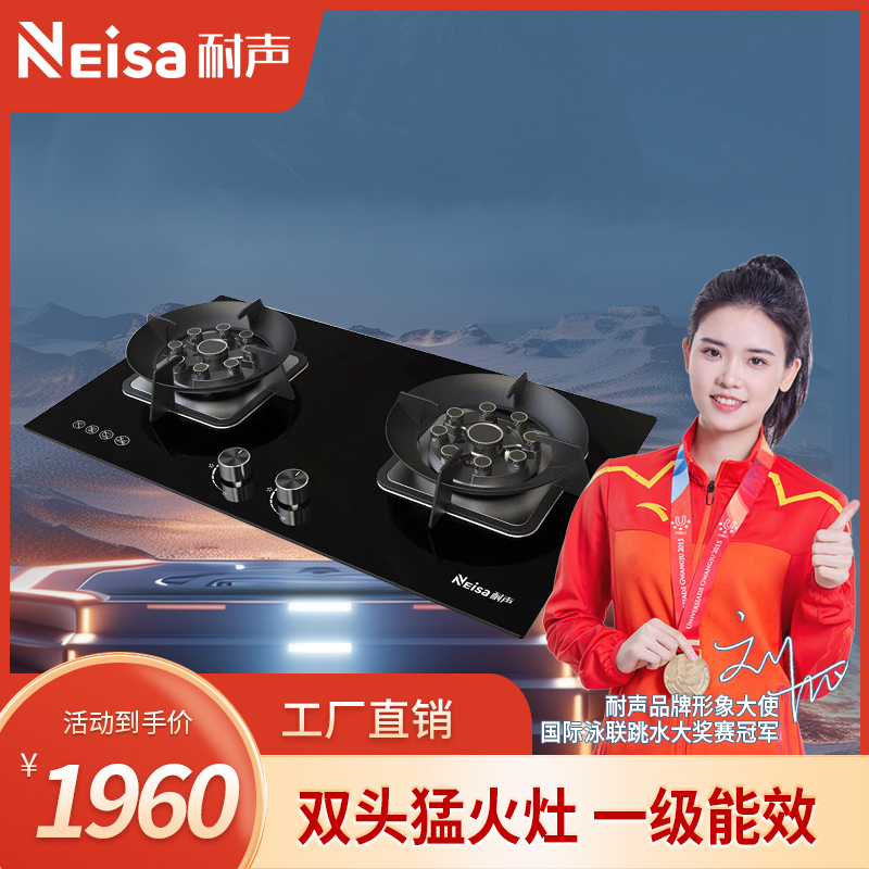 耐声,专业生产耐声电器,耐声吸油烟机,耐声厨卫电器