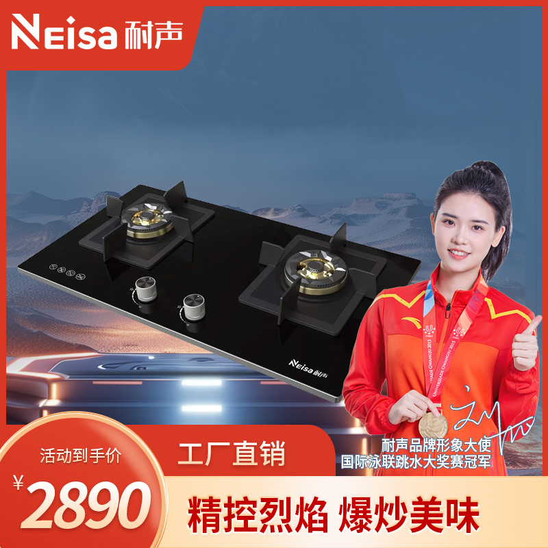 耐声,专业生产耐声电器,耐声吸油烟机,耐声厨卫电器