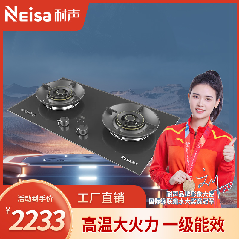 耐声,专业生产耐声电器,耐声吸油烟机,耐声厨卫电器